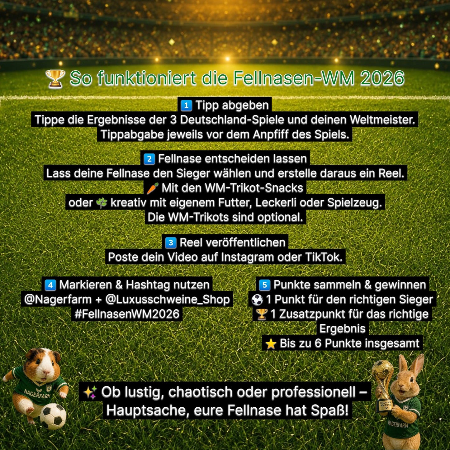 🏆 Furry Friends World Cup 2026 - Official Betting Set