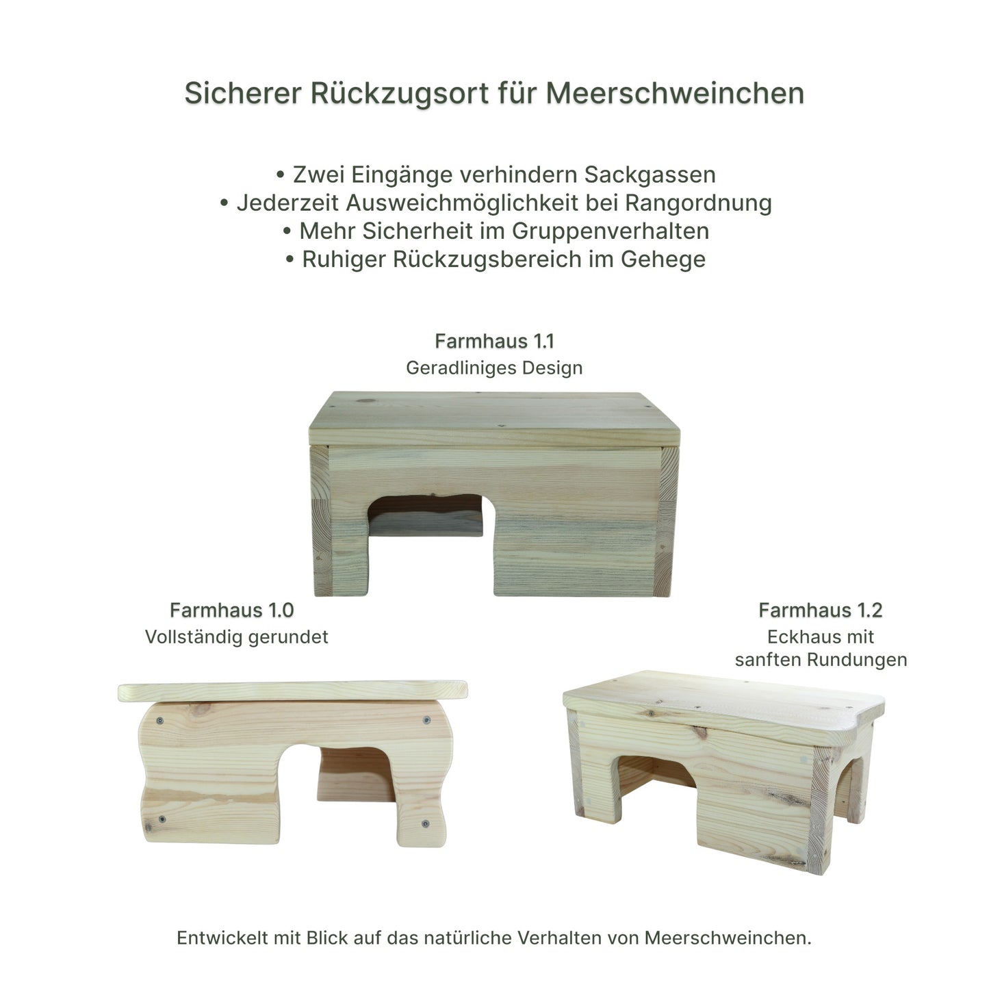 Detailansicht des Holz-Farmhauses mit sauber verarbeiteten Kanten