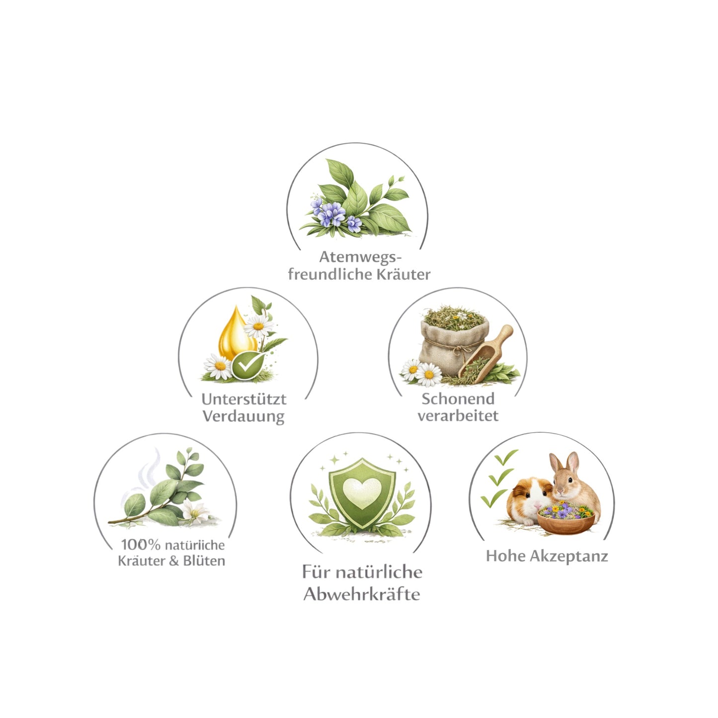Balance-Kräutermix Nr. 2 – Milde Kräutermischung für Nager & Kaninchen