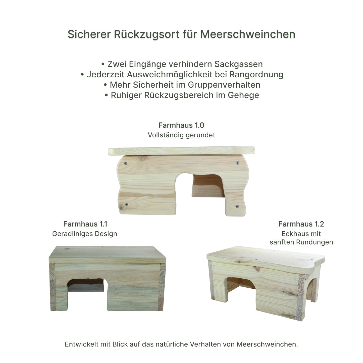 Detailansicht des Holz-Farmhauses mit sauber verarbeiteten Kanten