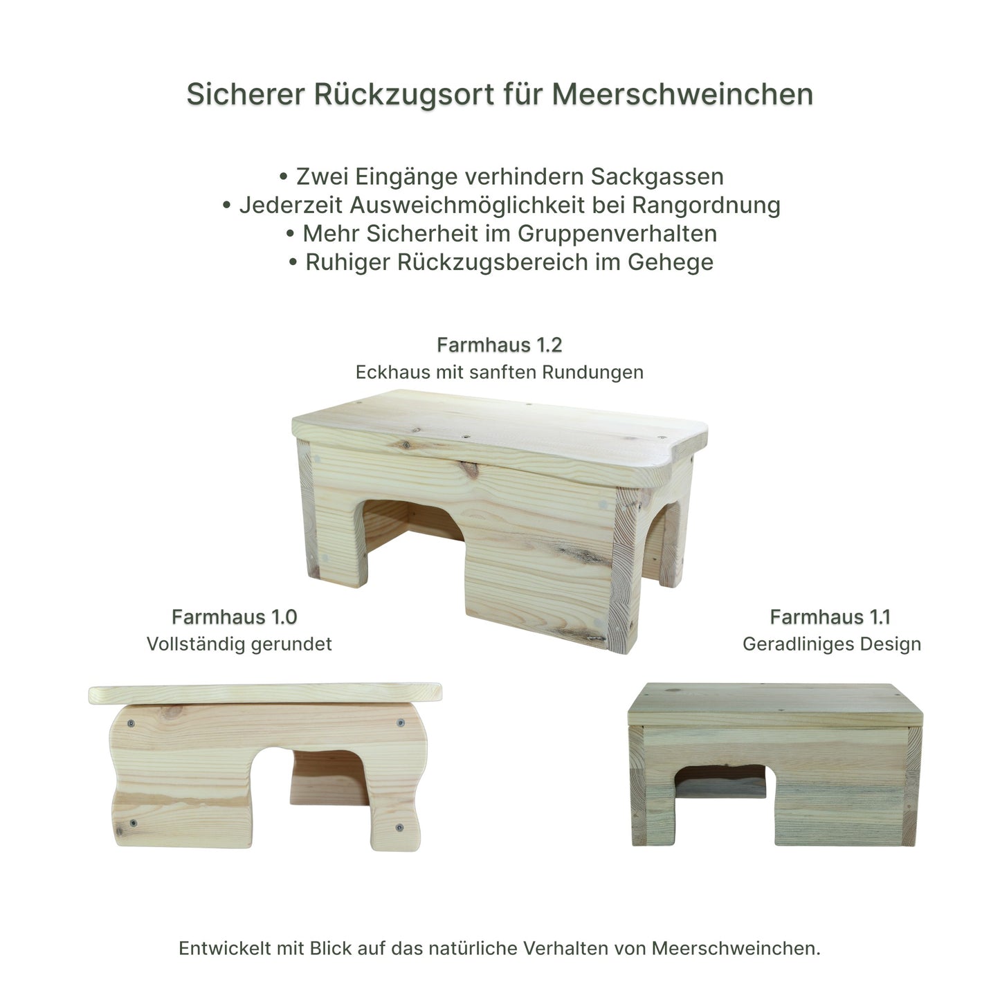 Detailansicht des Holz-Farmhauses mit sauber verarbeiteten Kanten