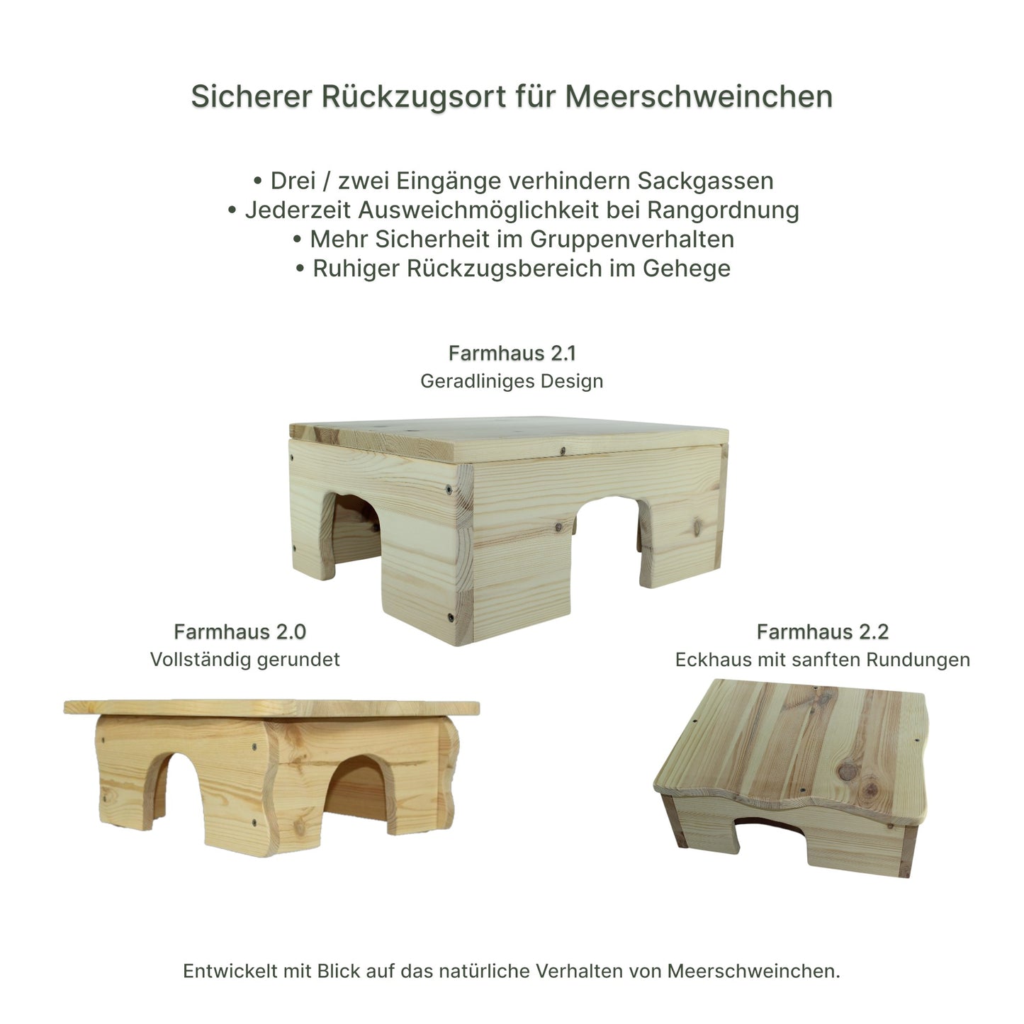 Detailansicht des Holz-Farmhauses mit sauber verarbeiteten Kanten