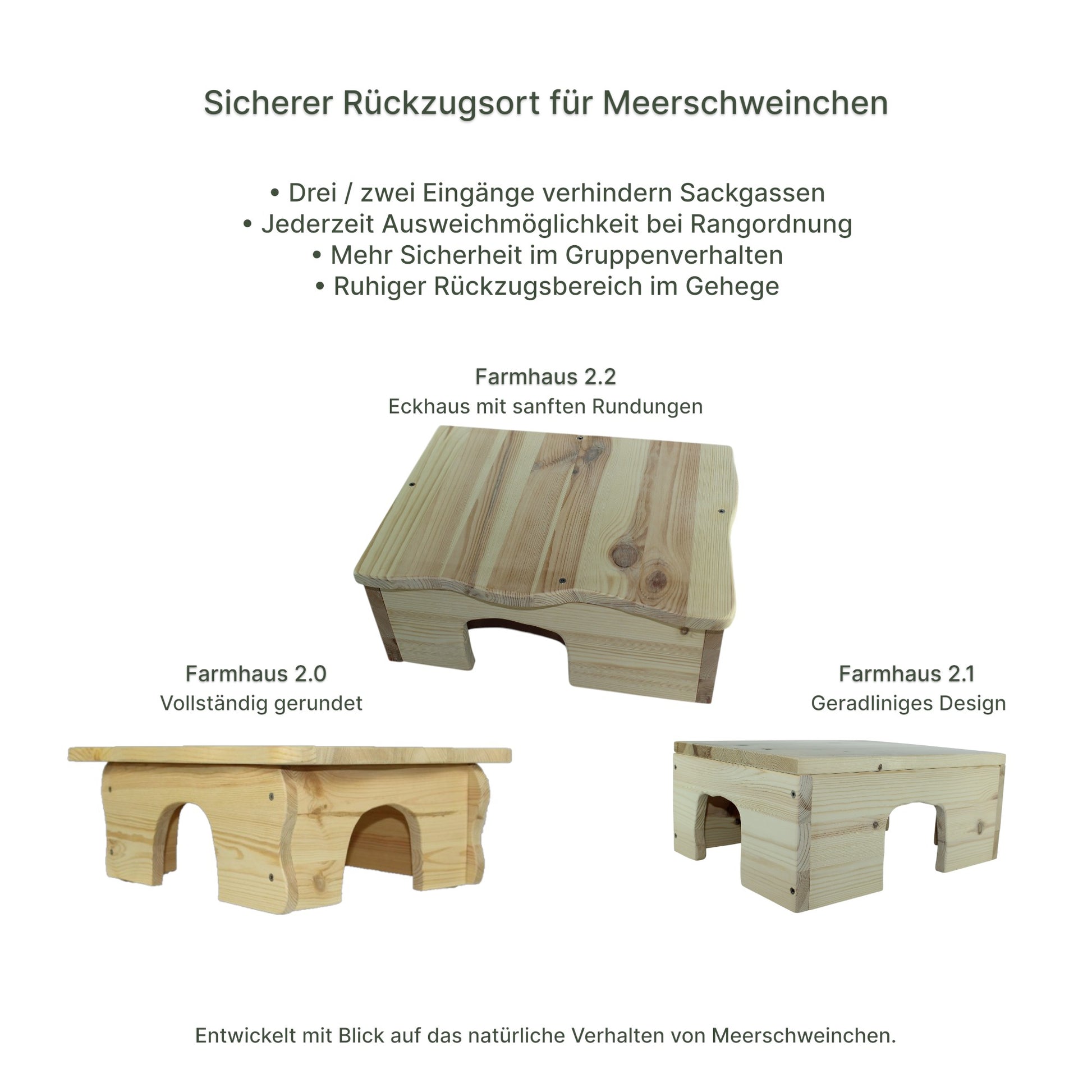 Detailansicht des Holz-Farmhauses mit sauber verarbeiteten Kanten