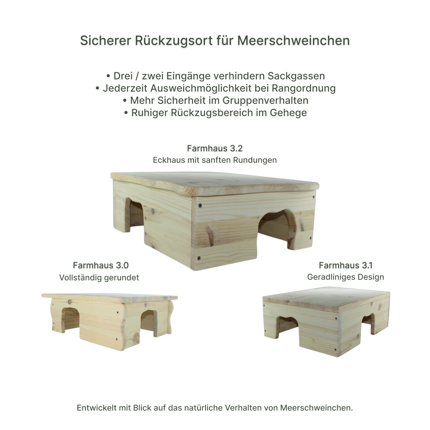 Detailansicht des Holz-Farmhauses mit sauber verarbeiteten Kanten