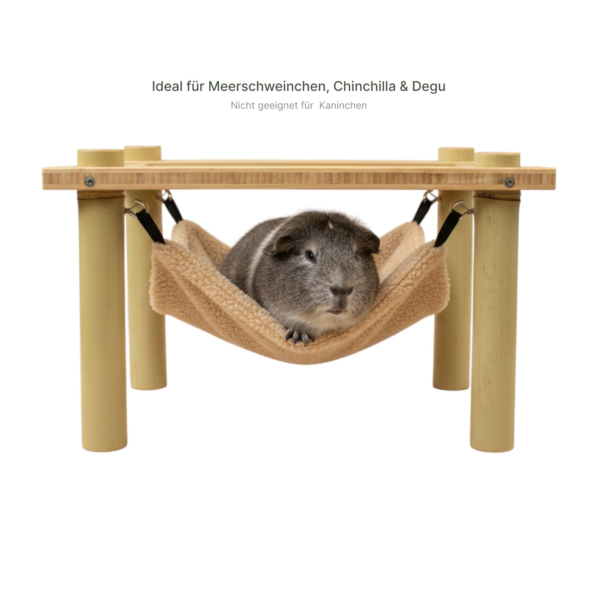 Meerschweinchen entspannt in Hängematte auf Bambus-Hängemattengestell