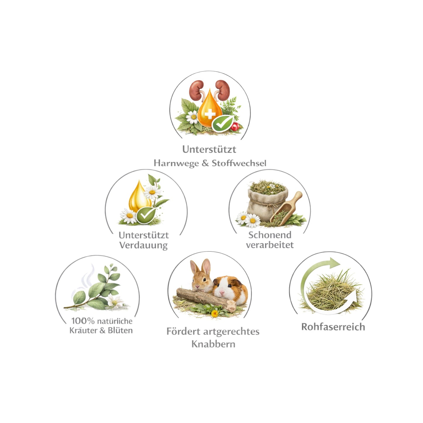 Aktiv-Kräutermix Nr. 3 – Aromatische Kräuter- & Blütenmischung für Nager & Kaninchen