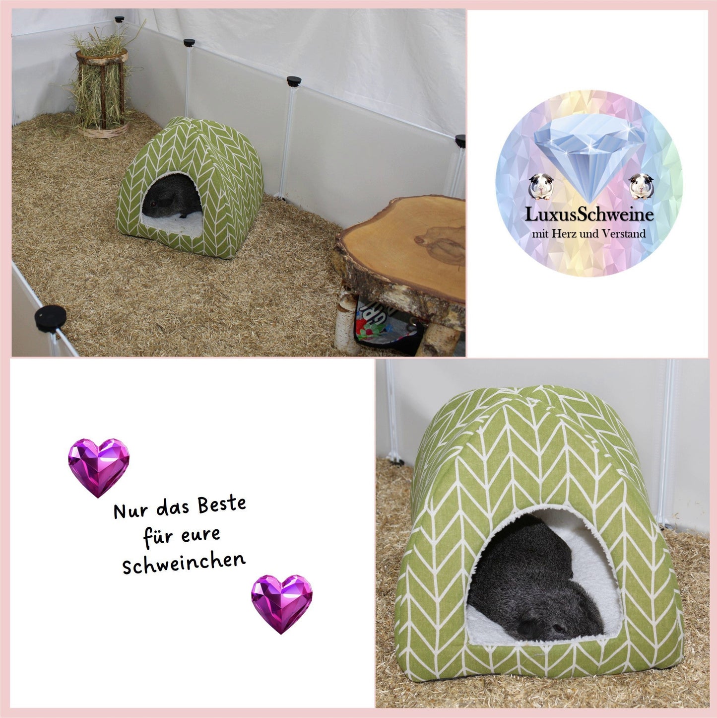 🏡 "Green-Gray" Dome House – A Cozy Hideaway for Your Guinea Pigs