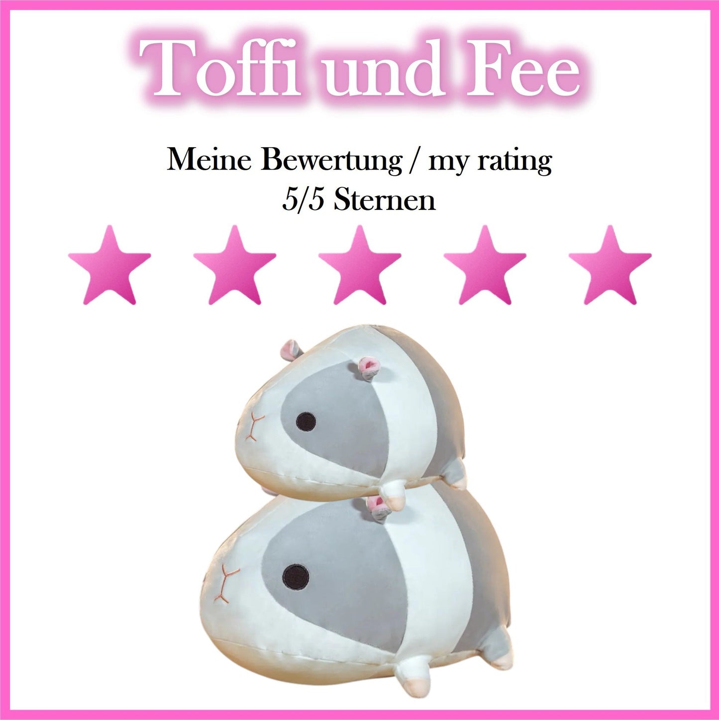 🐹 Toffi & Fee – Two Super Cute Guinea Pig Plush Toys to Fall in Love With