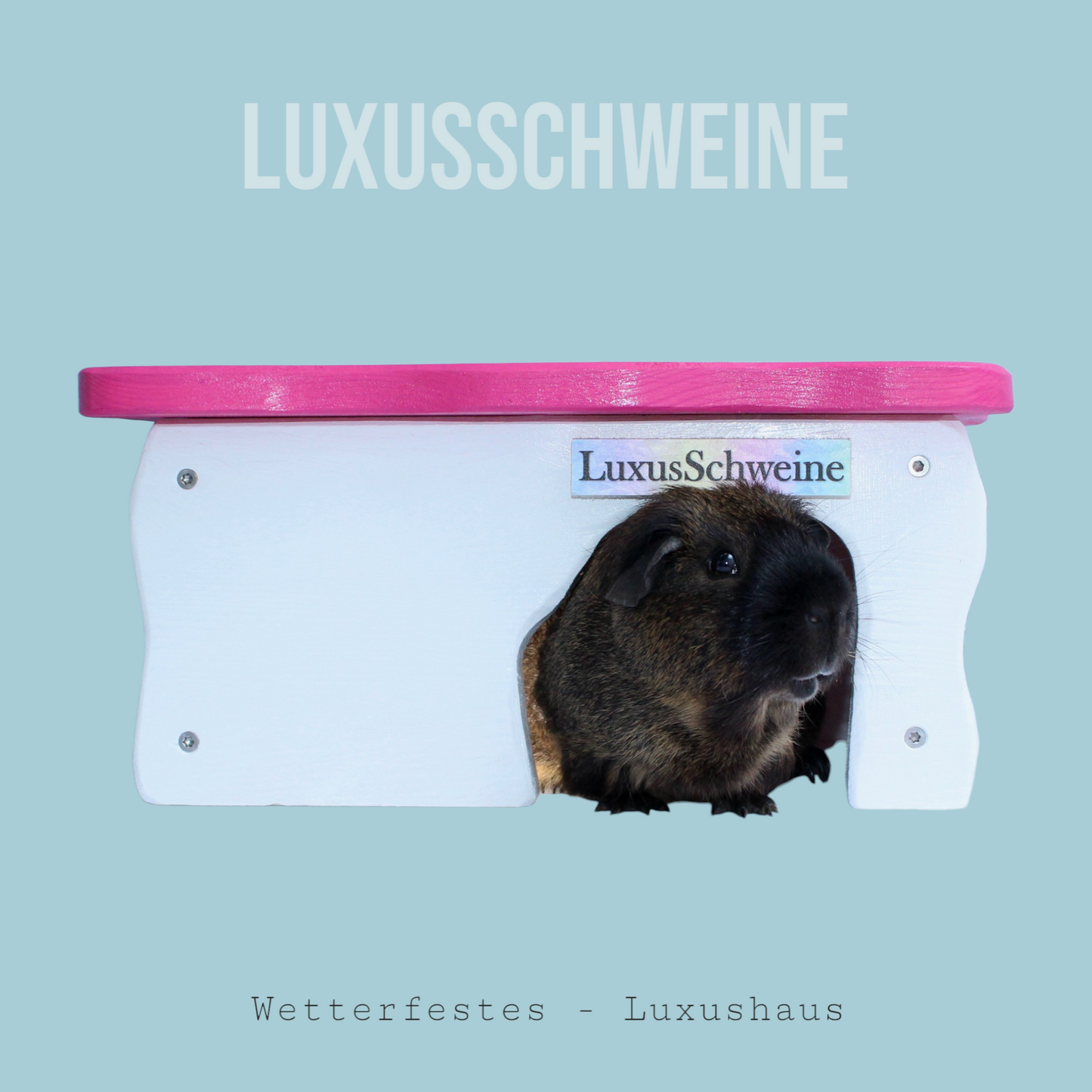 🏡✨ Luxury House 1.0 – Because your guinea pig deserves more!