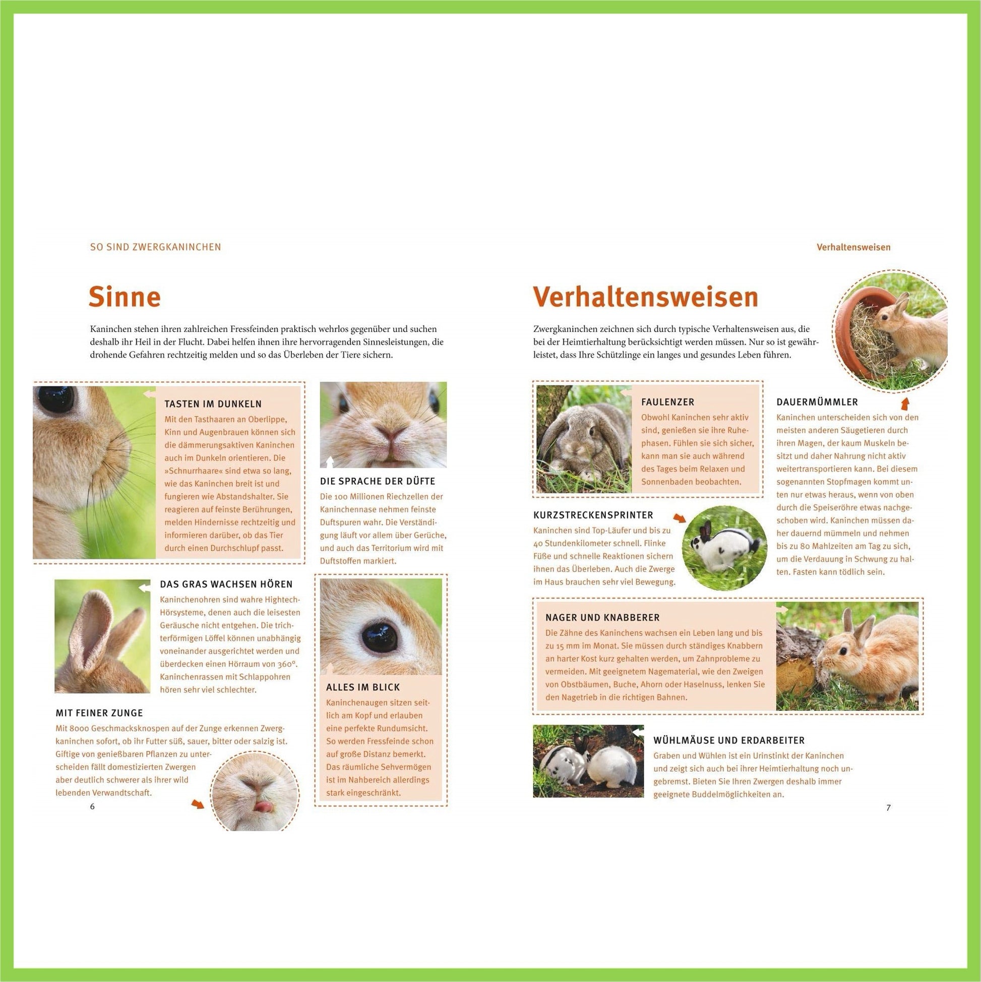 Spiel- u. Wohnideen für Zwergkaninchen - Nagerfarm