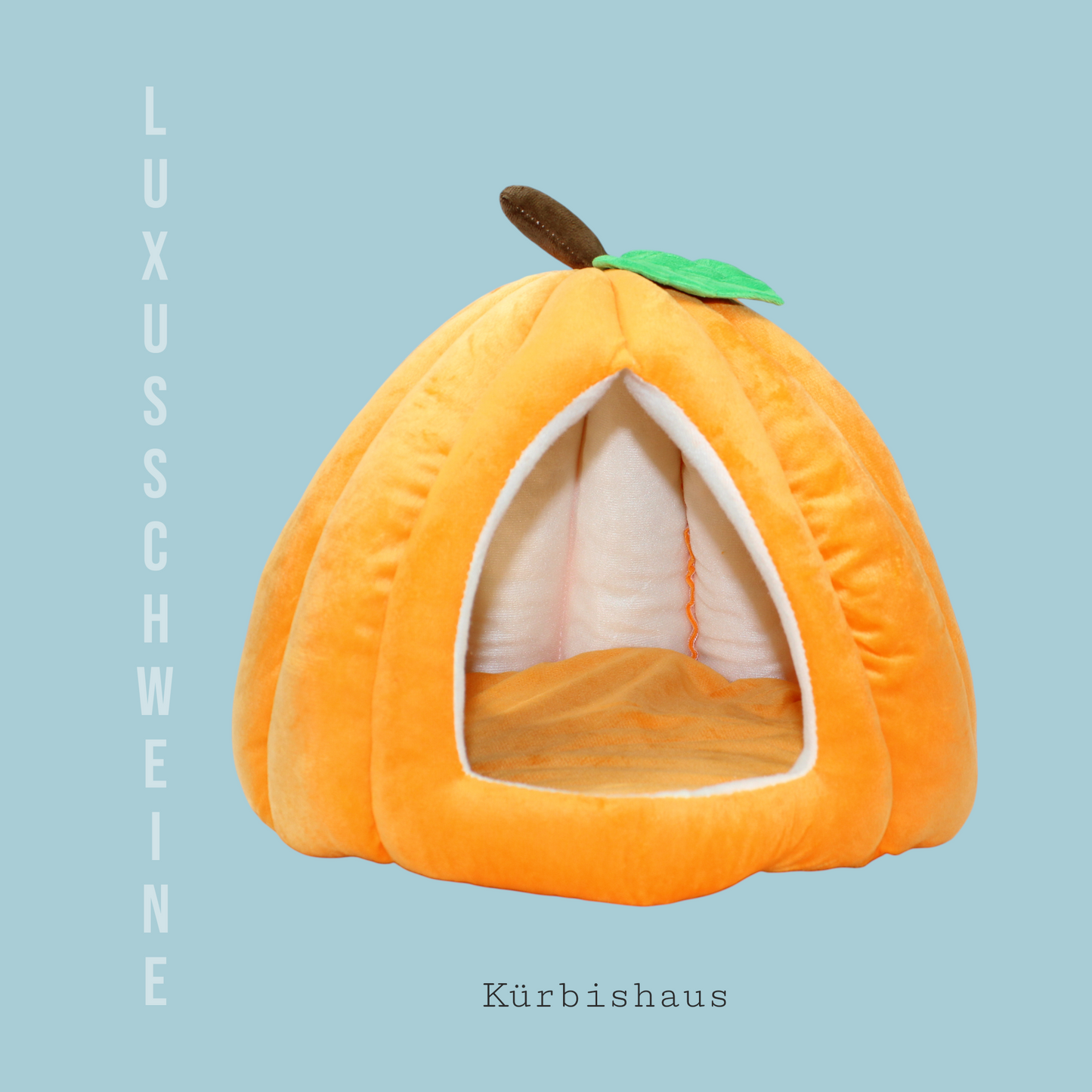 🏠🎃 Kürbishaus – Das Kuschelparadies für deine Meerschweinchen