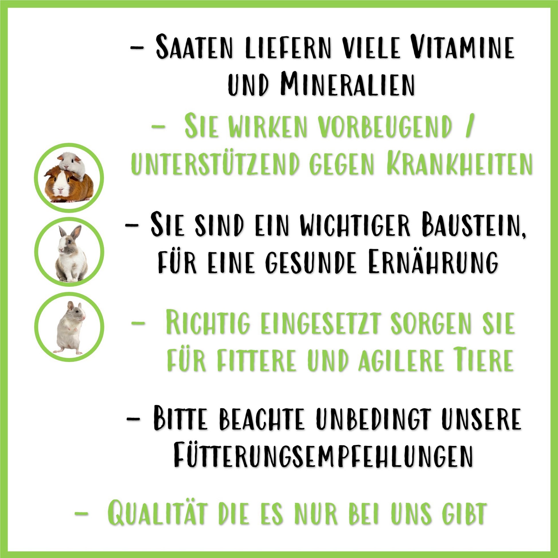 Saaten Mix Sommertraum - Nagerfarm