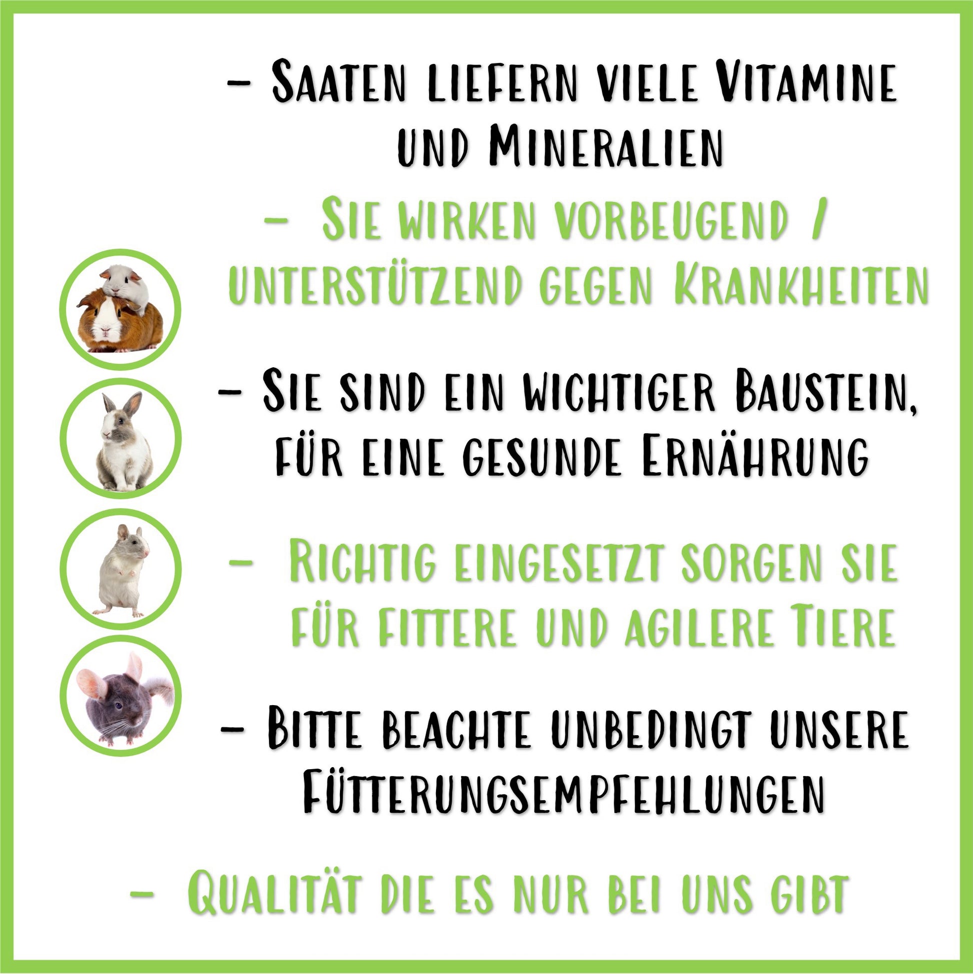 Saaten Mix Winterzauber - Nagerfarm